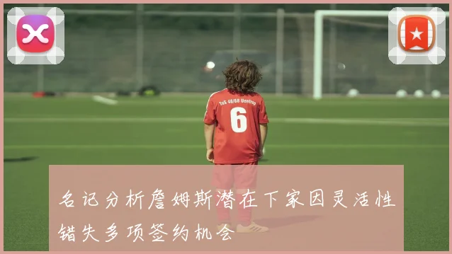 名记分析詹姆斯潜在下家因灵活性错失多项签约机会