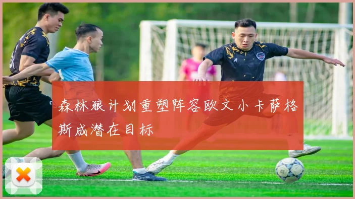 森林狼计划重塑阵容欧文小卡萨格斯成潜在目标